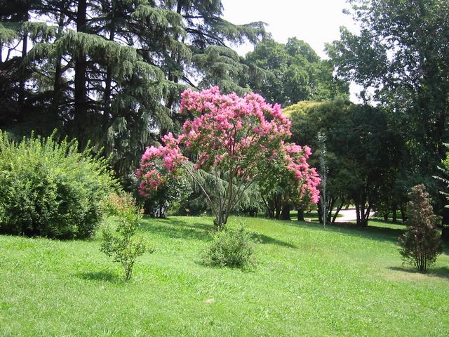 parque